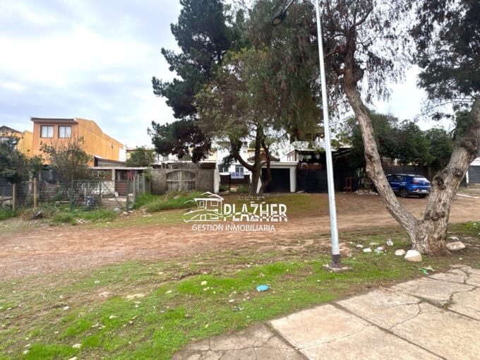 Vista desde la calle de una casa en Villa Vista Hermosa, con árboles al frente